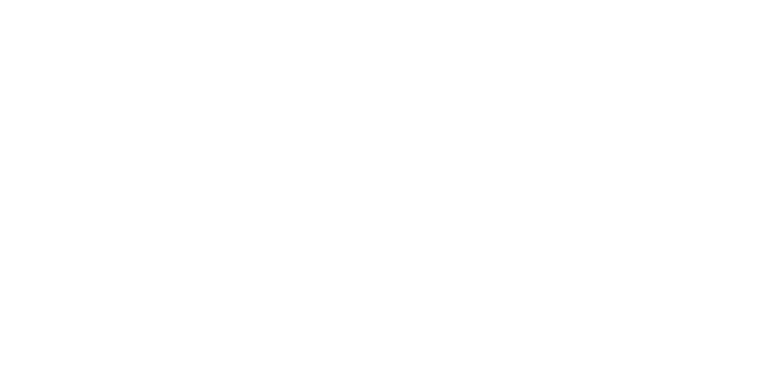 Novartis Logo
